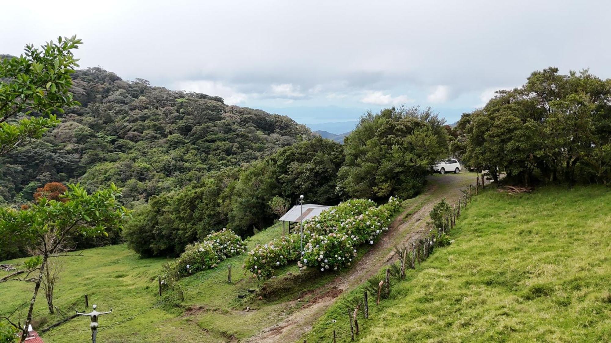 Dadirri House Minicasa Santa Elena Monteverde Luaran gambar